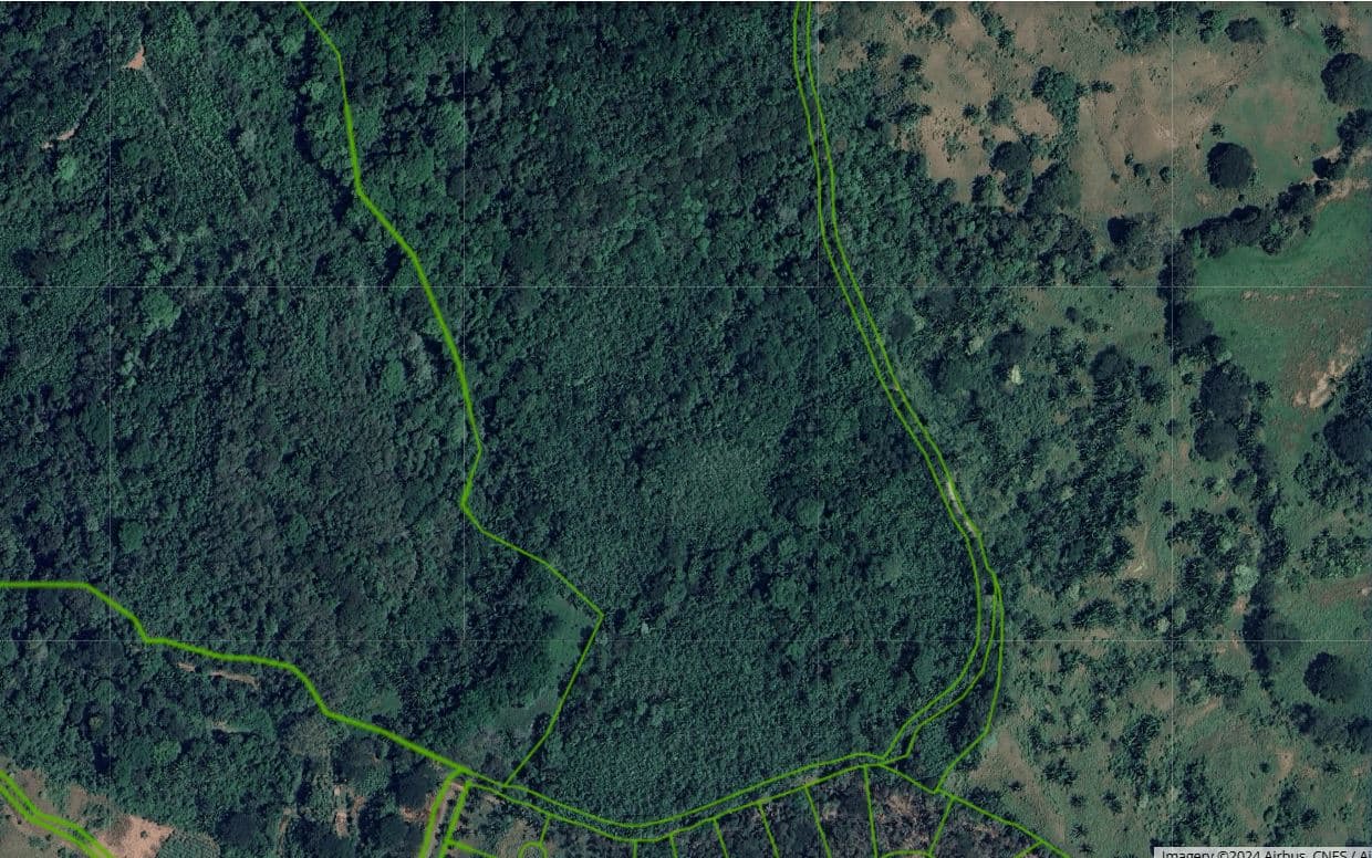 Professionally Planted and Managed Hardwood Plantation | One of Four | Bird 98