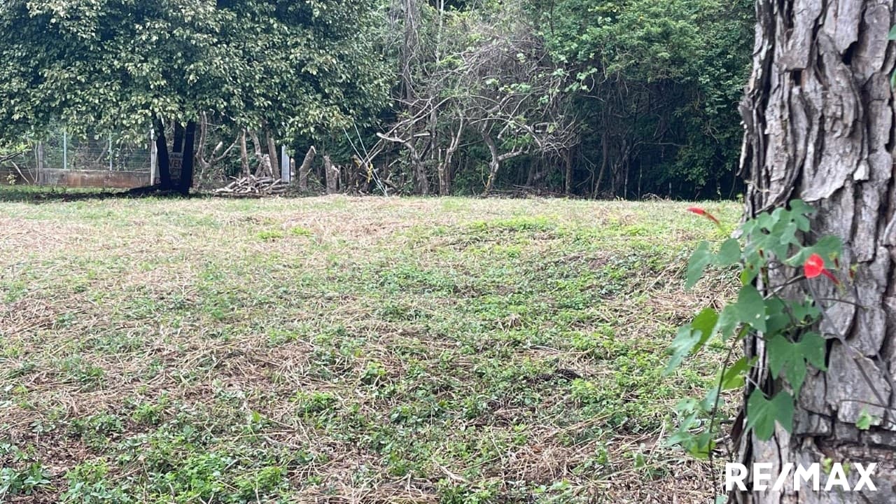 Large Flat Property, photo 3