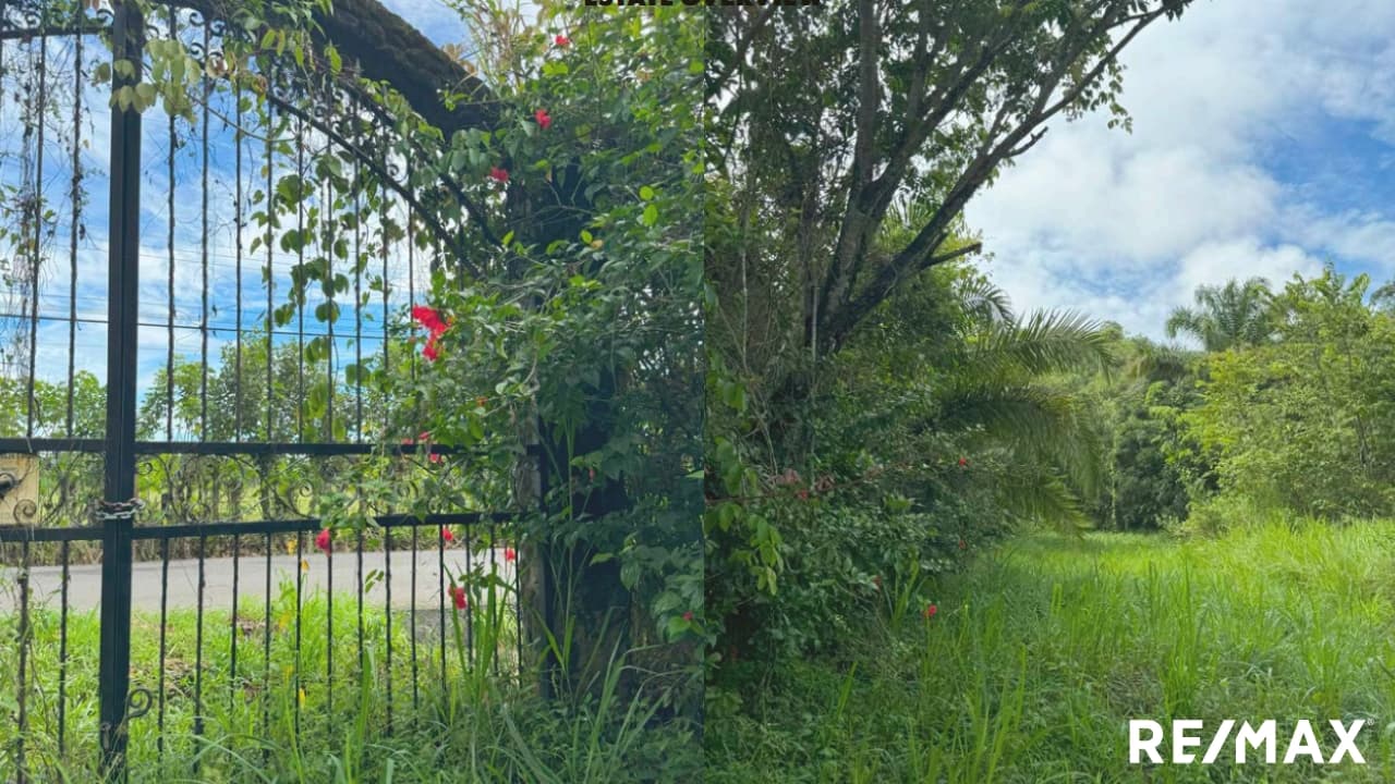 Unique Development Opportunity, photo 4