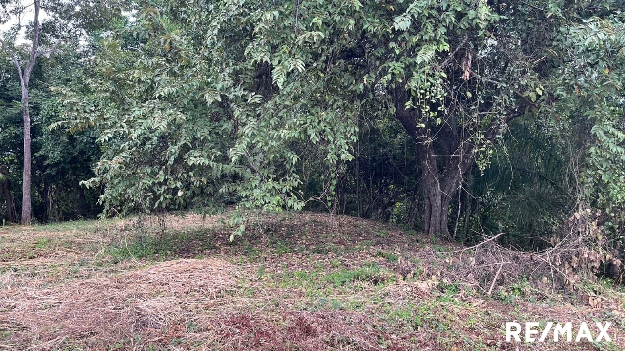 Large Flat Property, photo 18