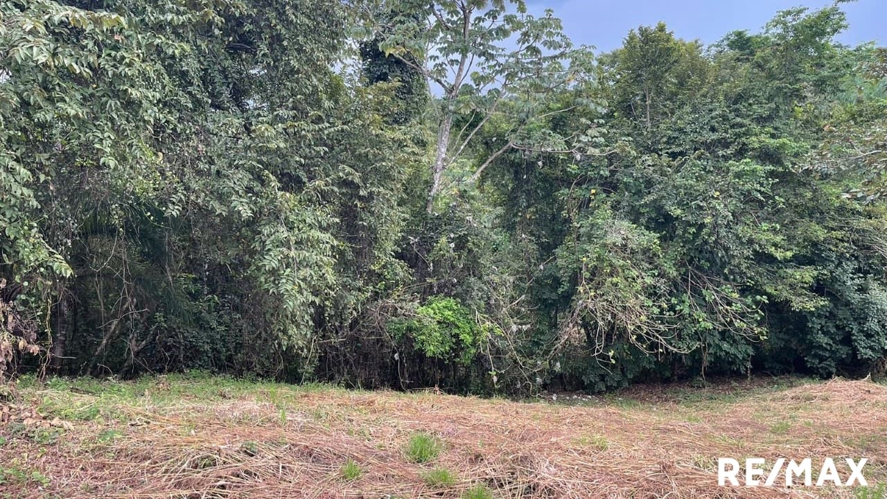 Large Flat Property, photo 19