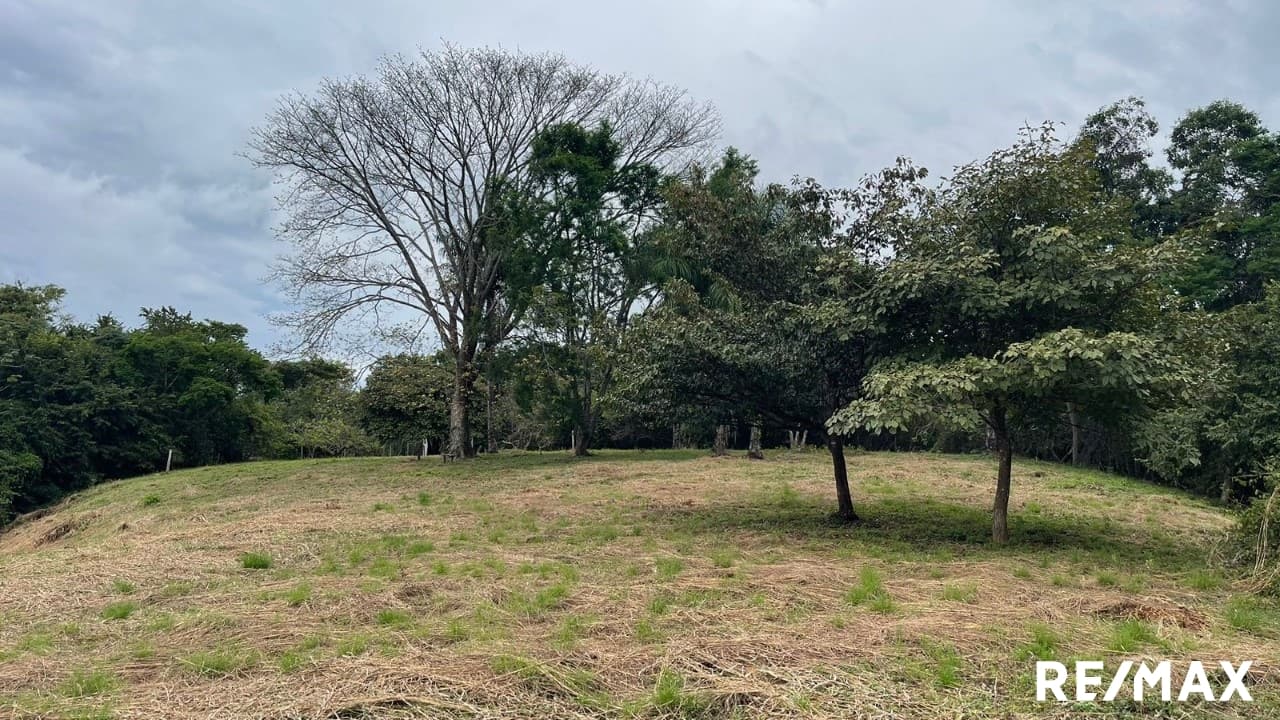 Large Flat Property, photo 24