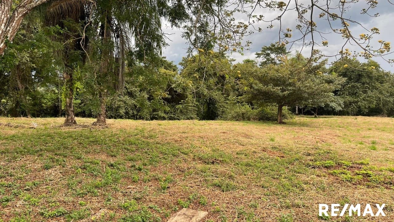 Large Flat Property, photo 25