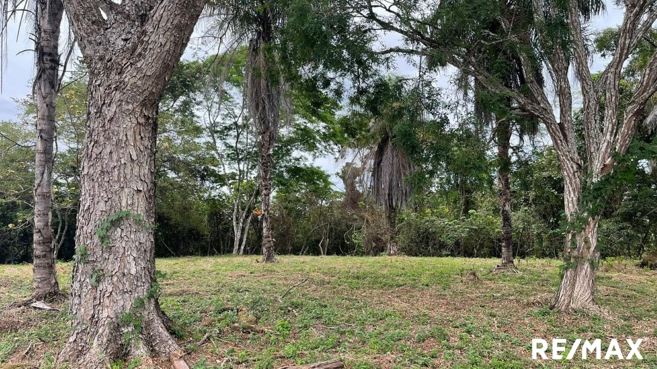 Large Flat Property, photo 26