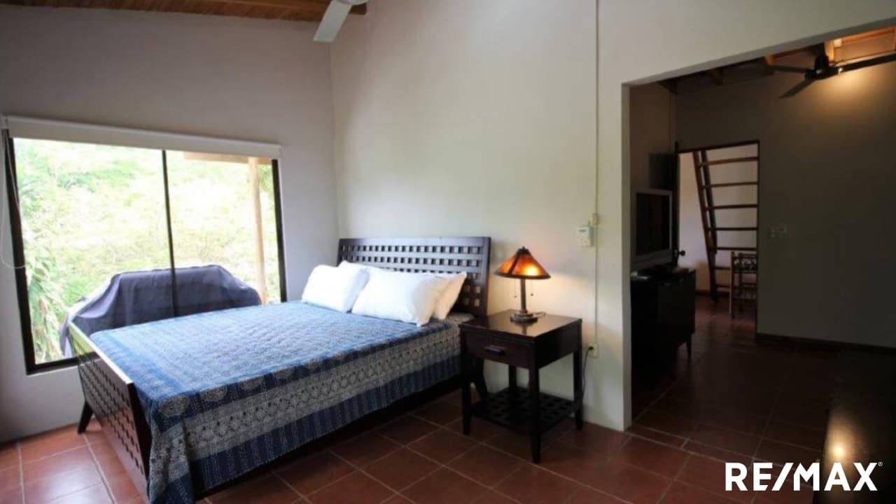 Secluded Jungle Retreat, photo 8
