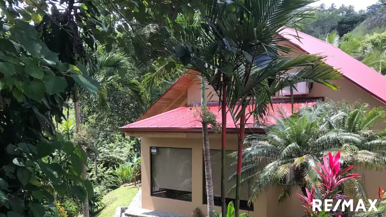 Secluded Jungle Retreat, photo 15