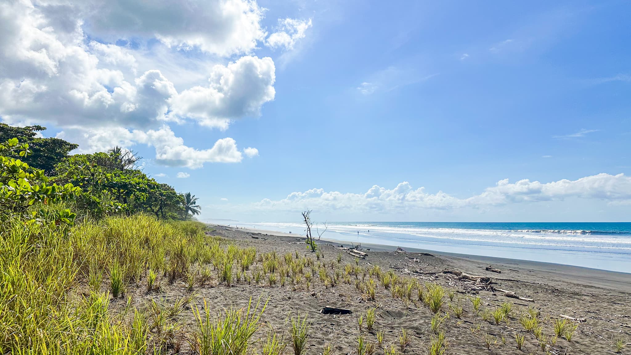 Playa Hermosa – Titled Ownership – Opportunities Galore, photo 14