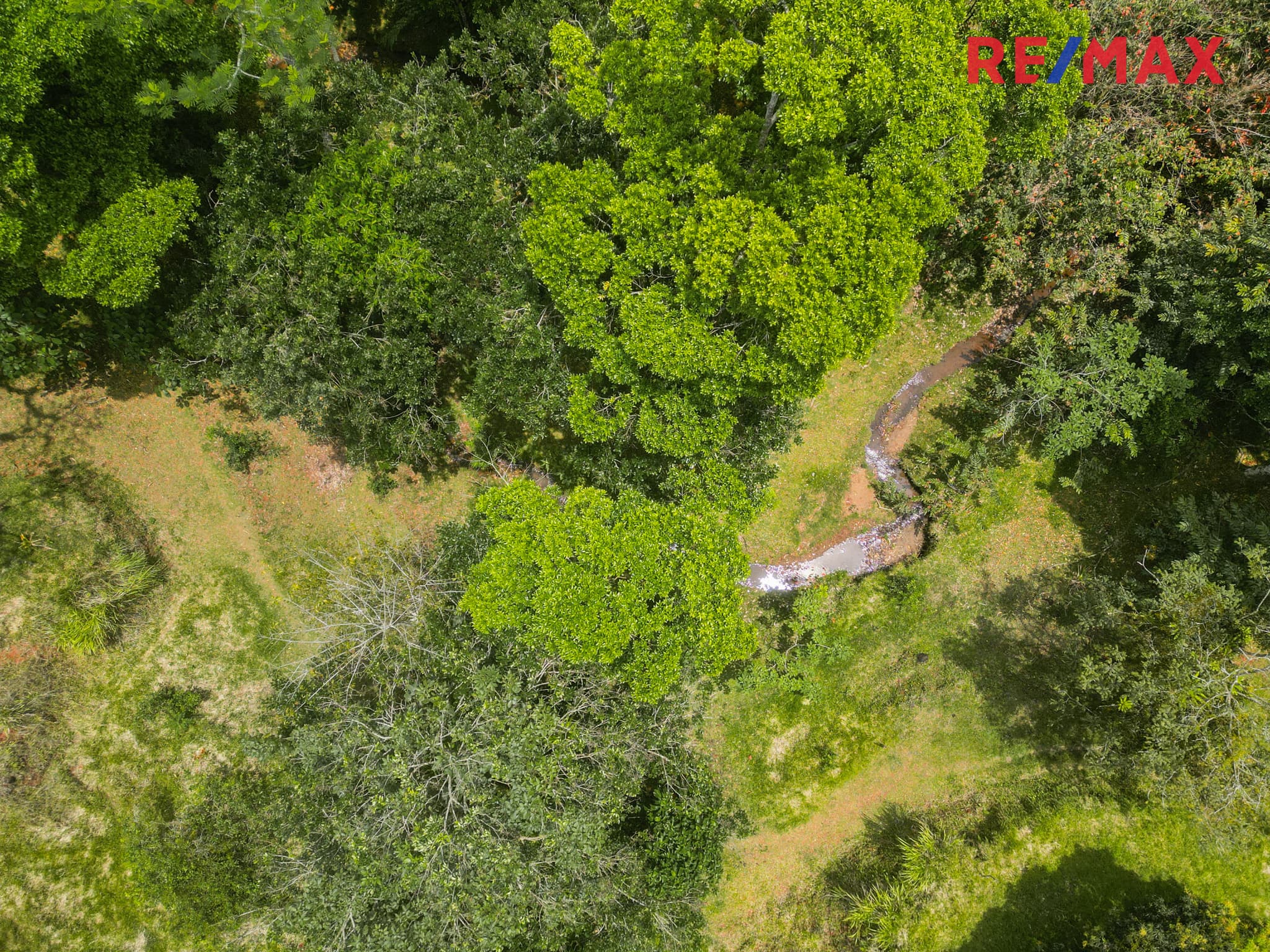 Bijagual, Jaco, Mountian View, Mountain Town Land, photo 8
