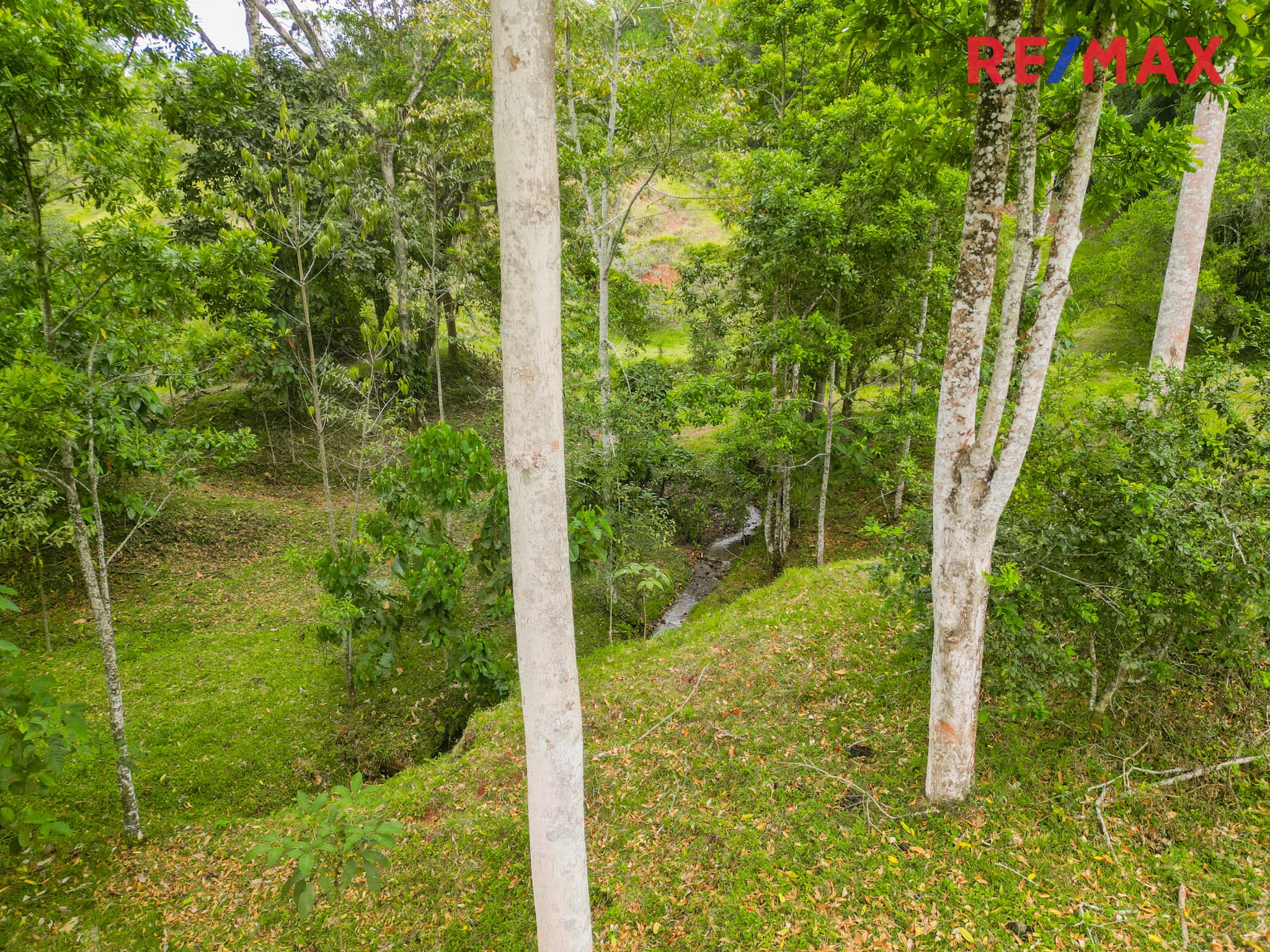 Bijagual, Jaco, Mountian View, Mountain Town Land, photo 7
