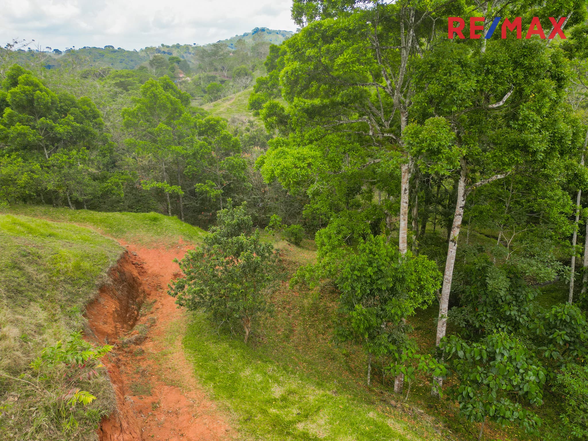 Bijagual, Jaco, Mountian View, Mountain Town Land, photo 14