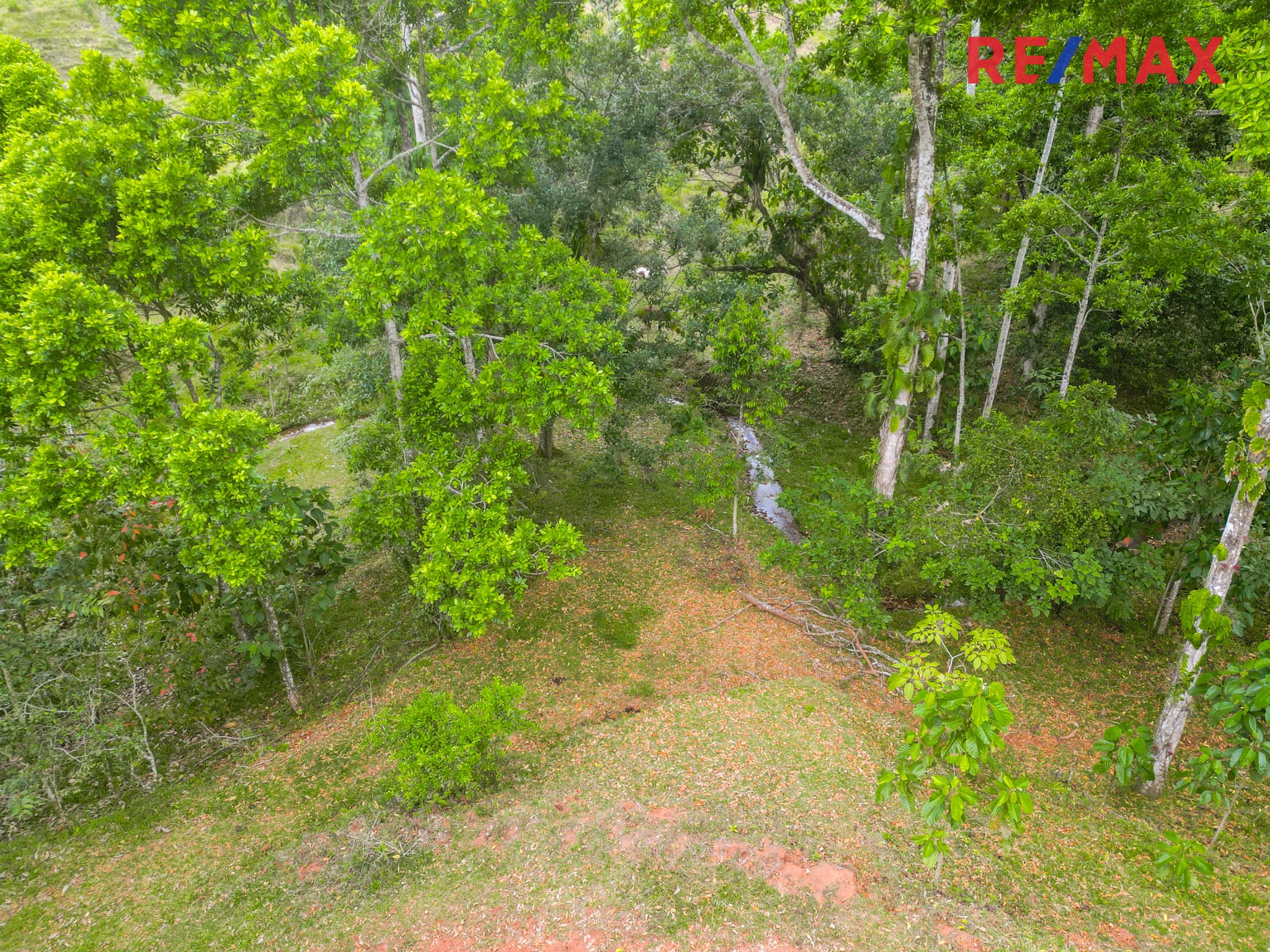 Bijagual, Jaco, Mountian View, Mountain Town Land, photo 16