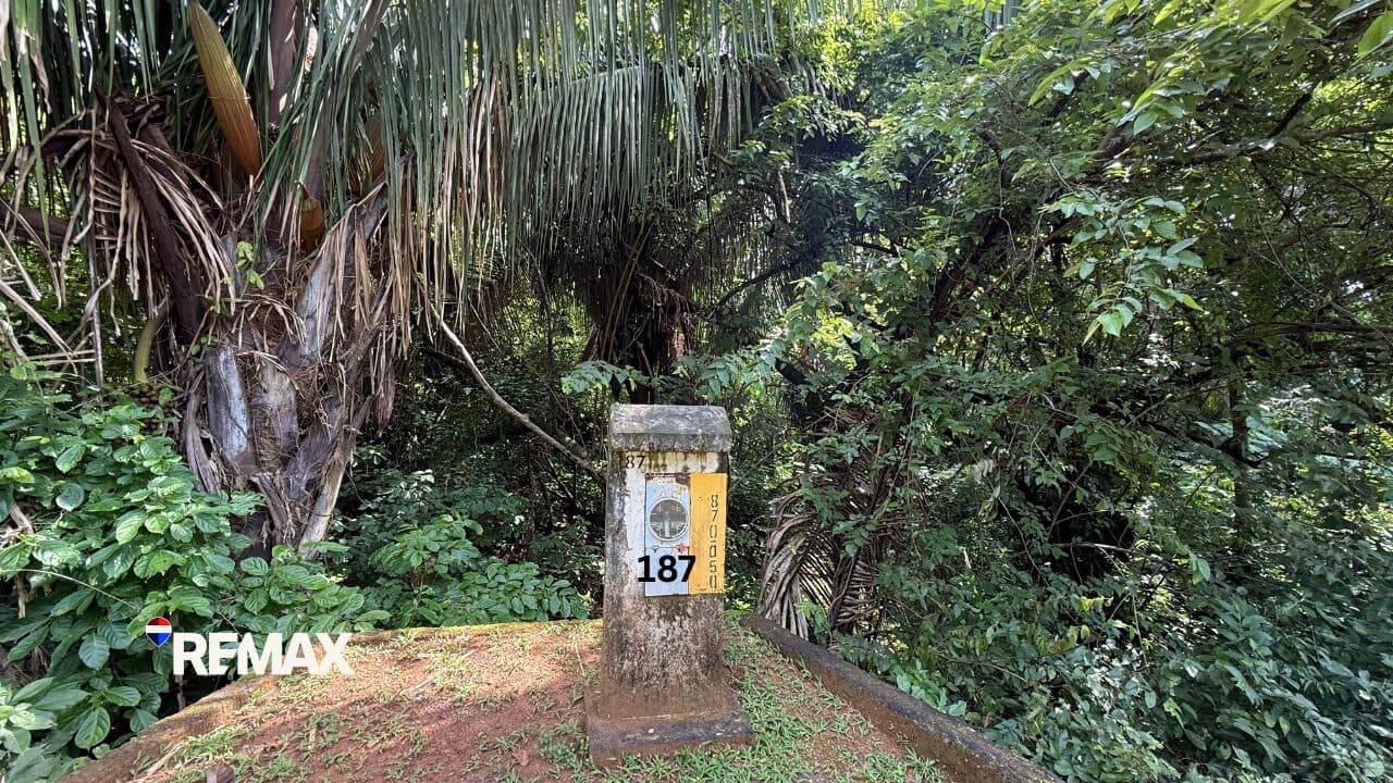 Mountain View Lot in Gated Community – 5 Minutes from the Beach | Costa Esterillos, photo 4