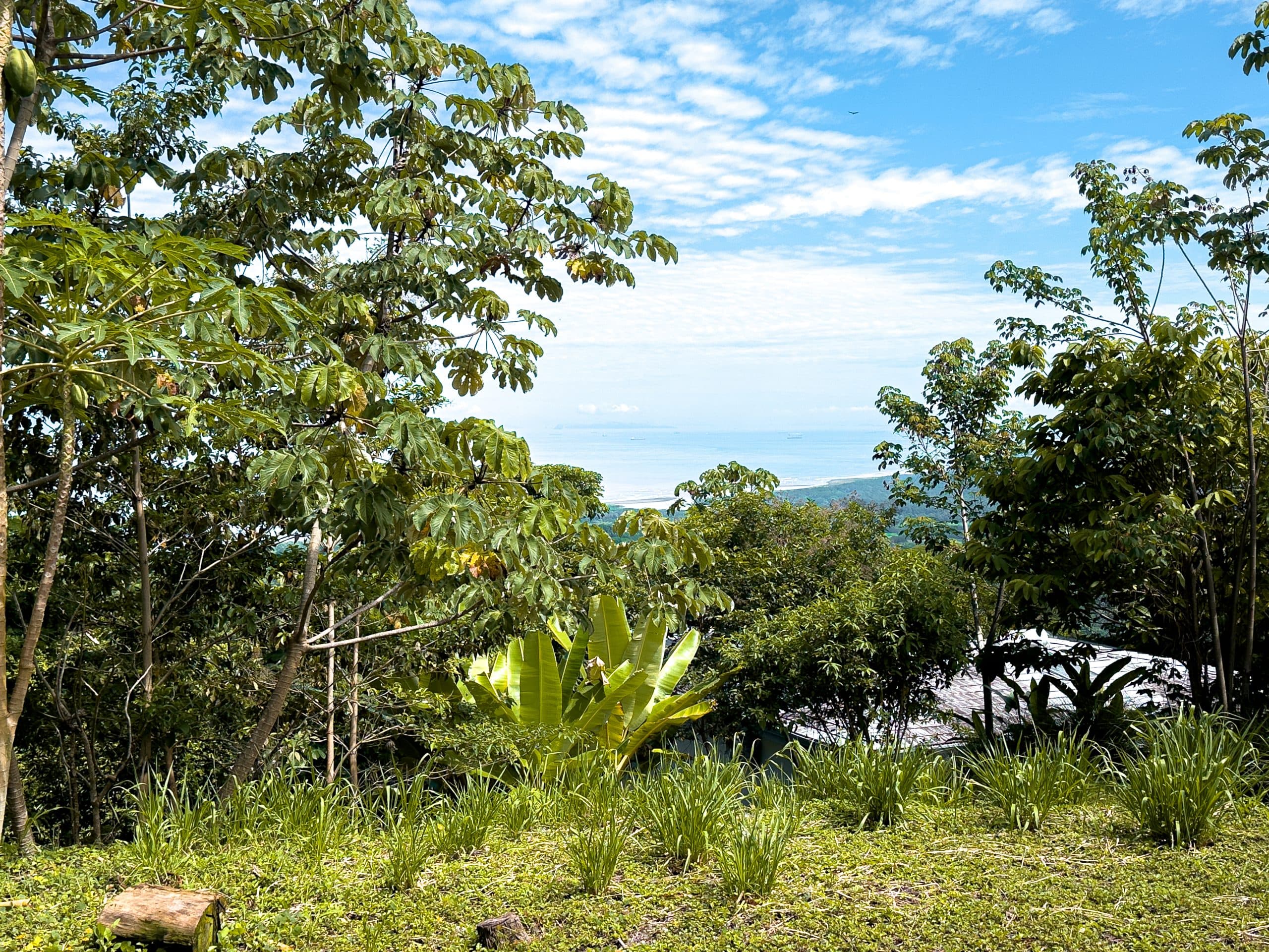 Ocean and Mountain View Vacant Lot, photo 7