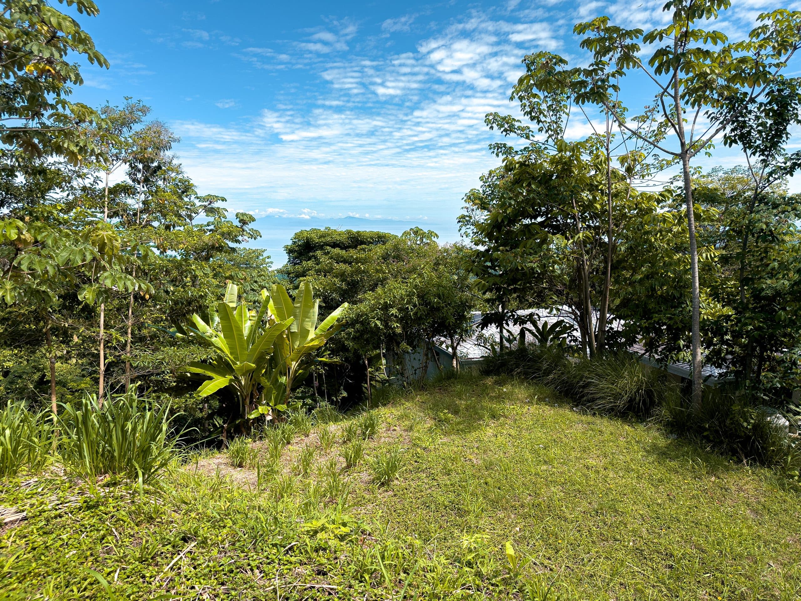 Ocean and Mountain View Vacant Lot, photo 9