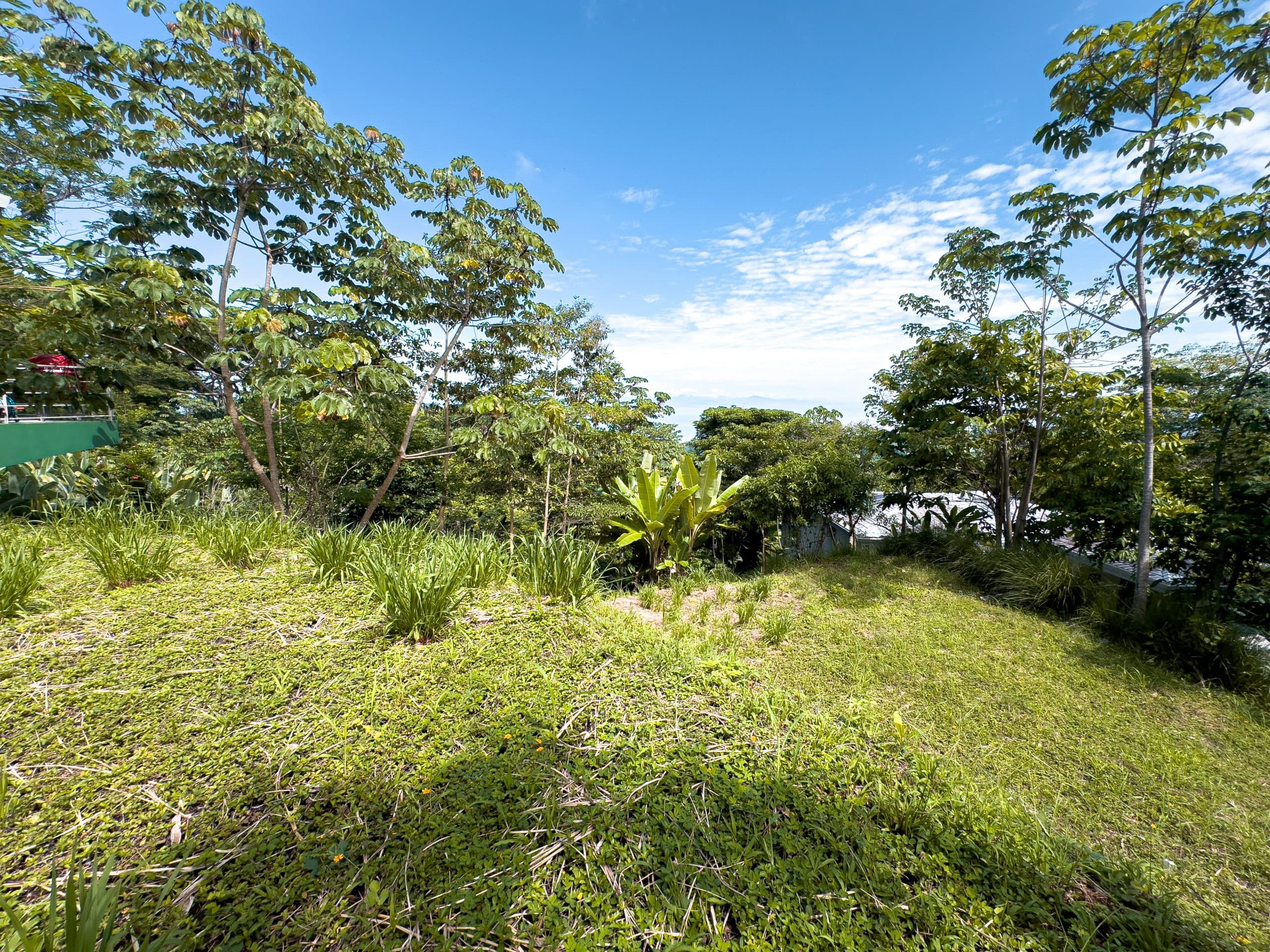 Ocean and Mountain View Vacant Lot, photo 10