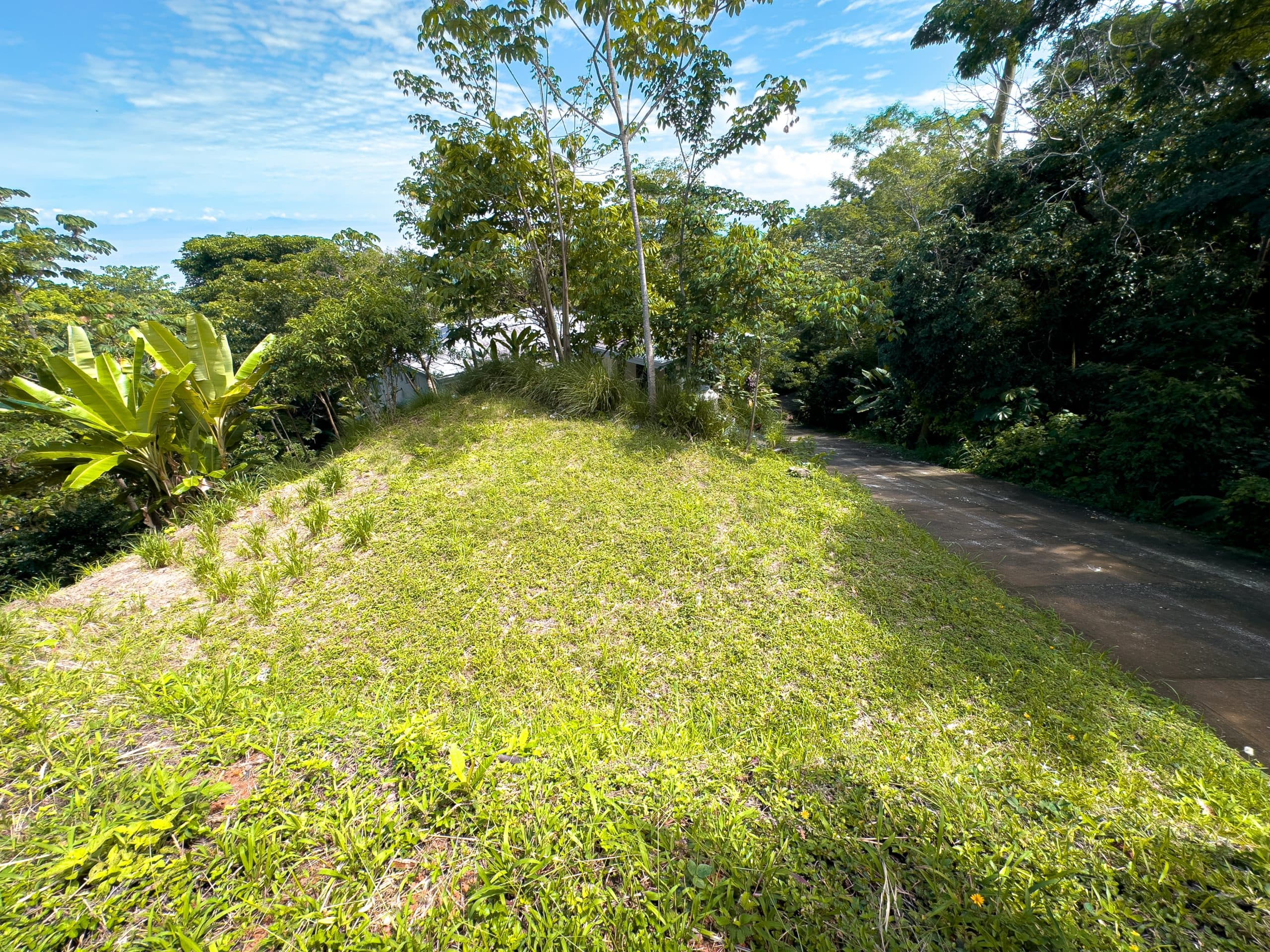 Ocean and Mountain View Vacant Lot, photo 11