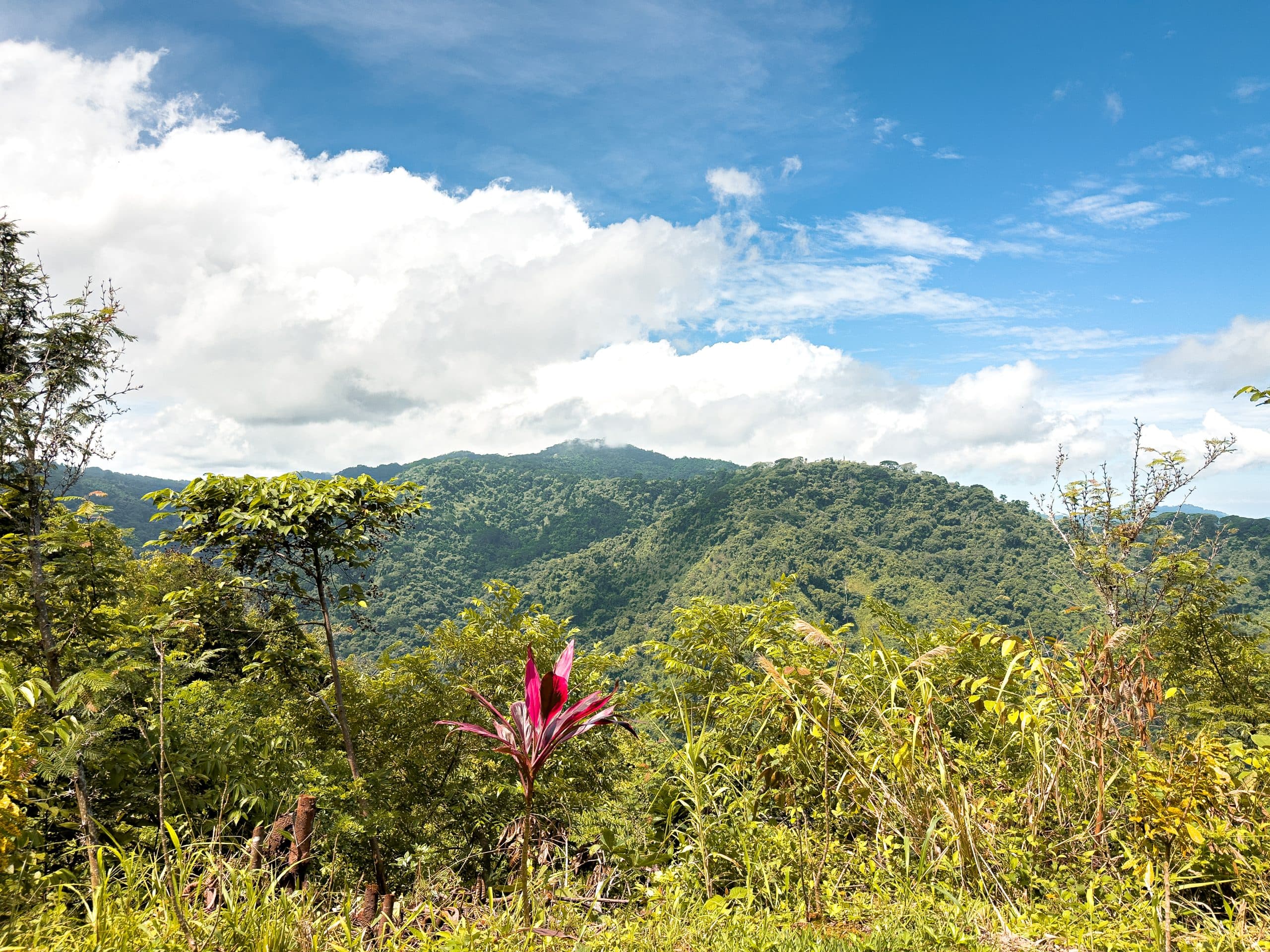 New Costa Rica Ocean View Home, photo 5