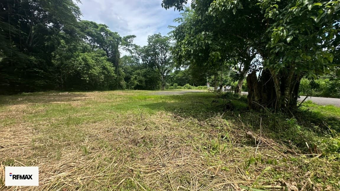Exclusive Prime Lots in Costa Rica’s Hottest Markets / Tarcoles, photo 17