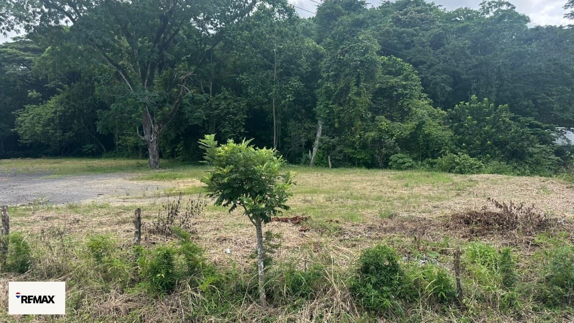 Exclusive Prime Lots in Costa Rica’s Hottest Markets / Tarcoles, photo 19