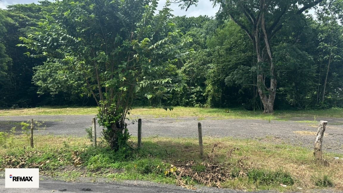Exclusive Prime Lots in Costa Rica’s Hottest Markets / Tarcoles, photo 24