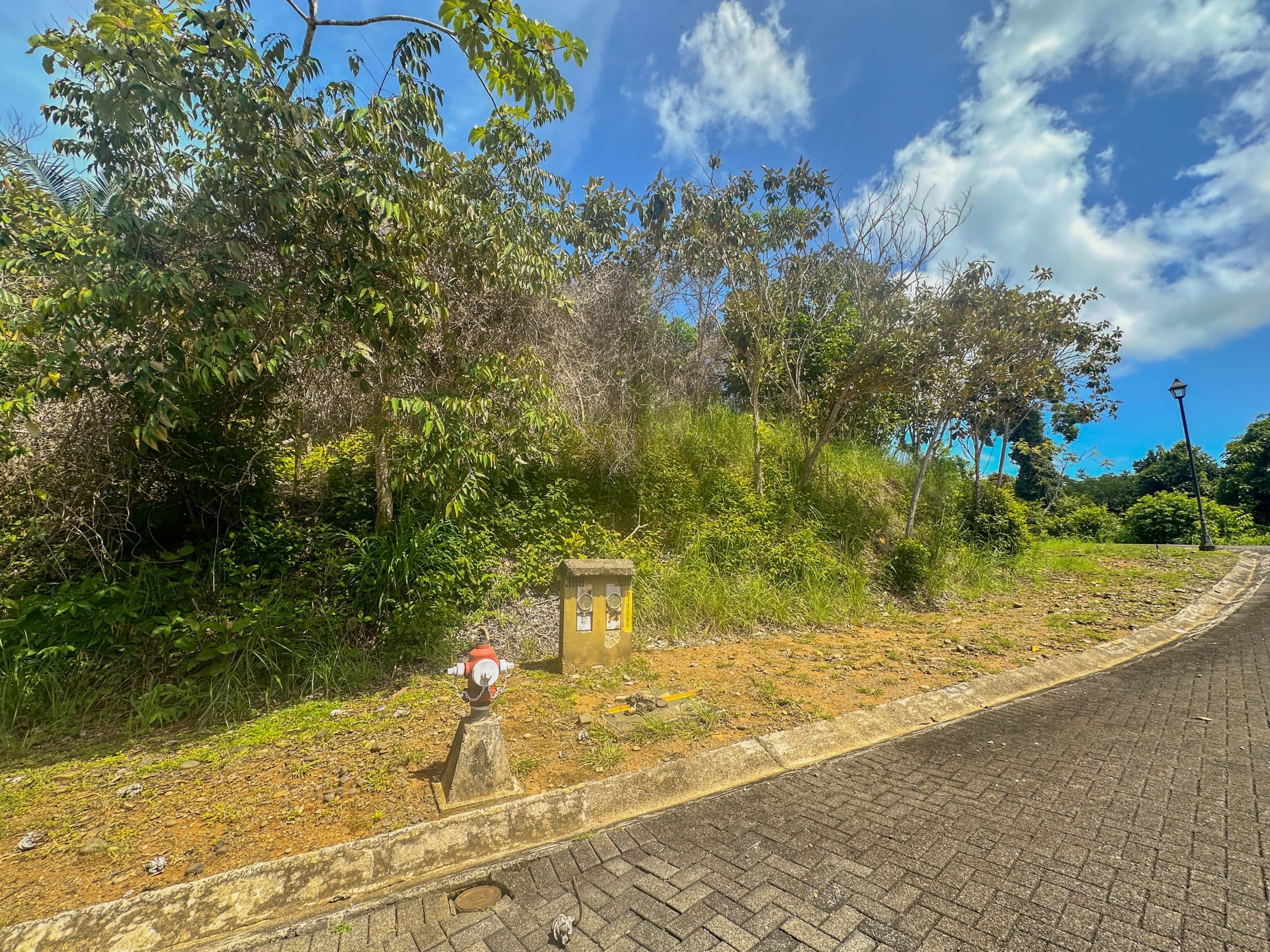 Costa Esterillos Lot for Sale- Mountain View, photo 5