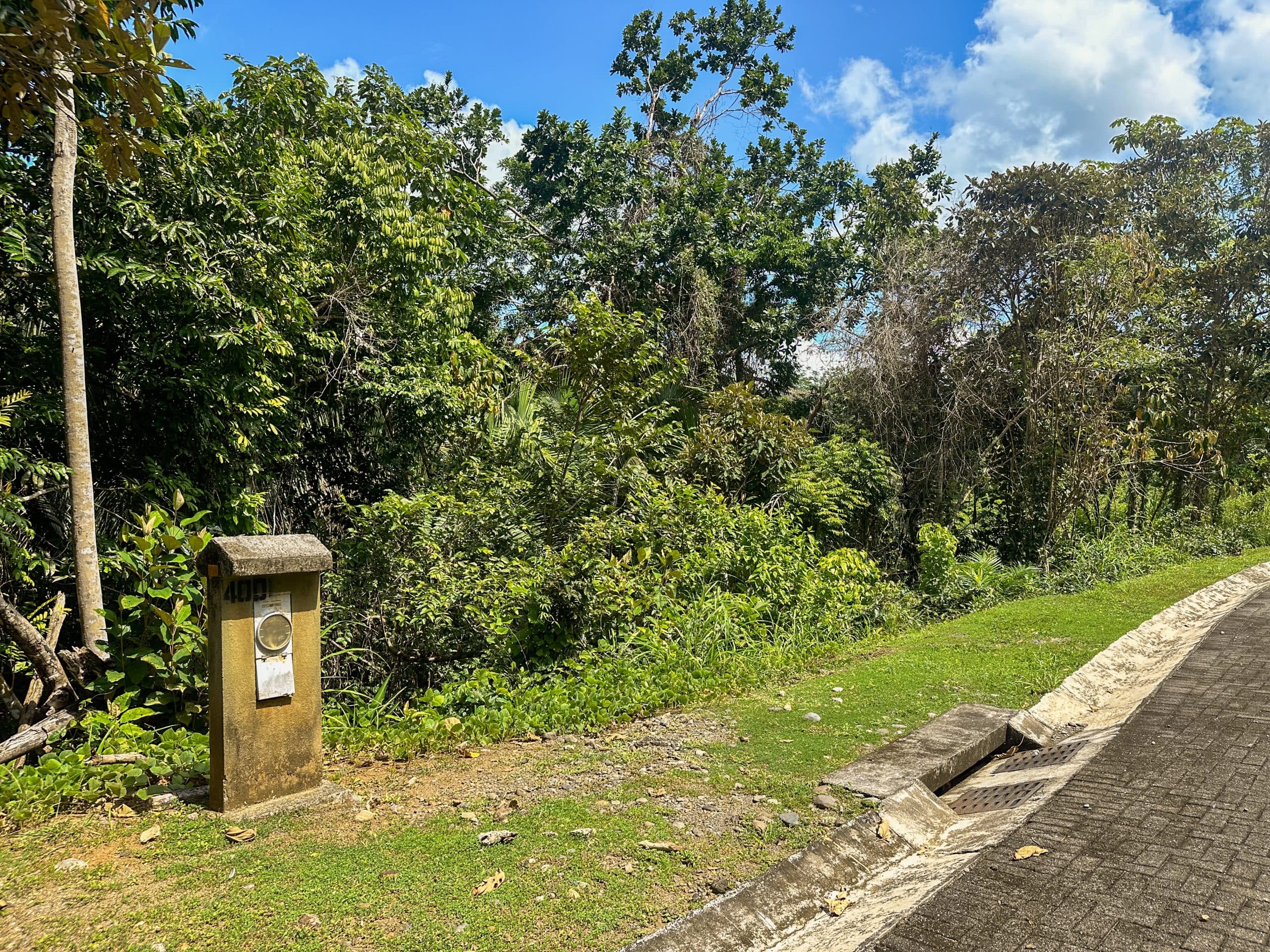 Costa Esterillos Lot for Sale- Mountain View, photo 7