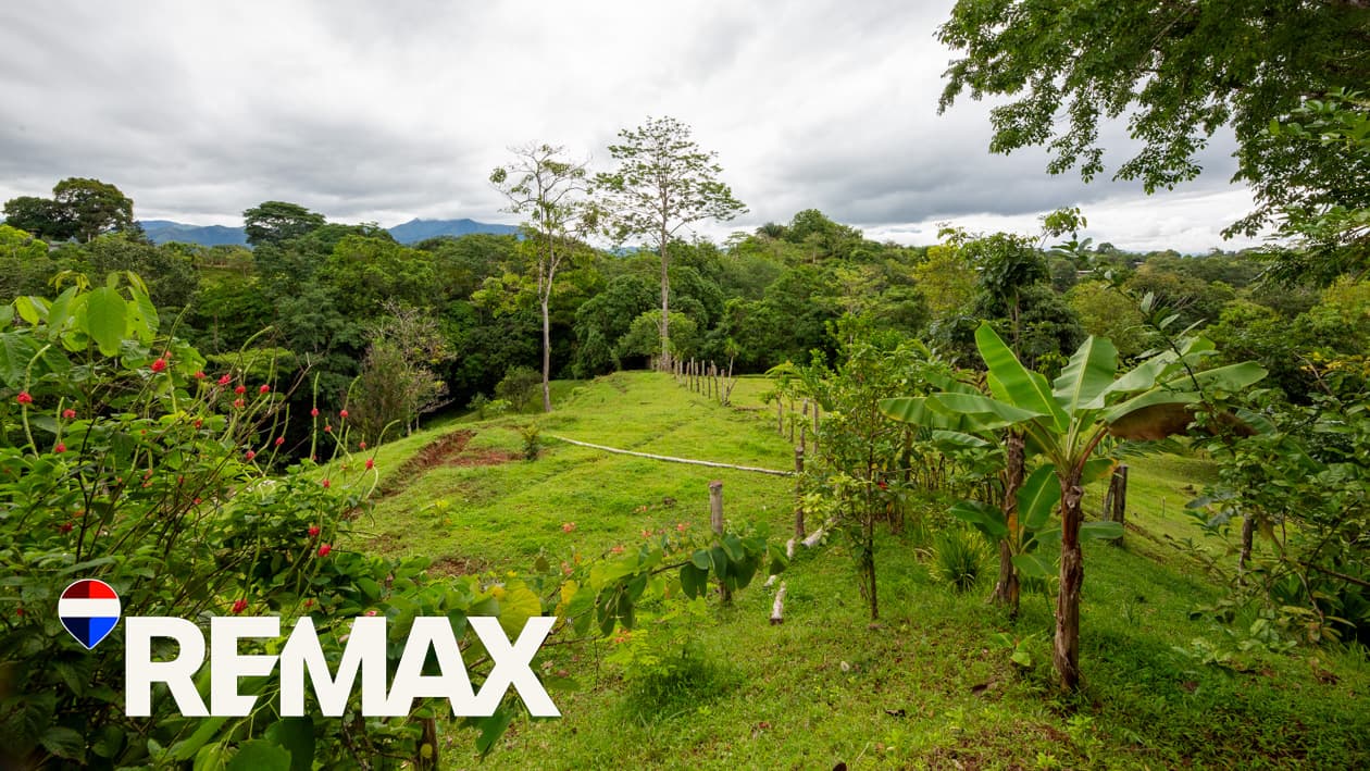 Affordable Up Country Living | Private and Peaceful | Home in the Hills, photo 4