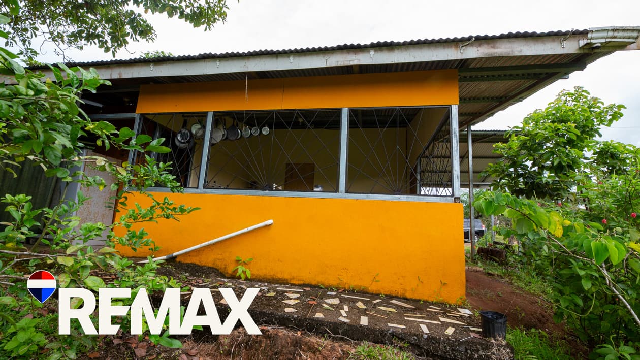 Affordable Up Country Living | Private and Peaceful | Home in the Hills, photo 12
