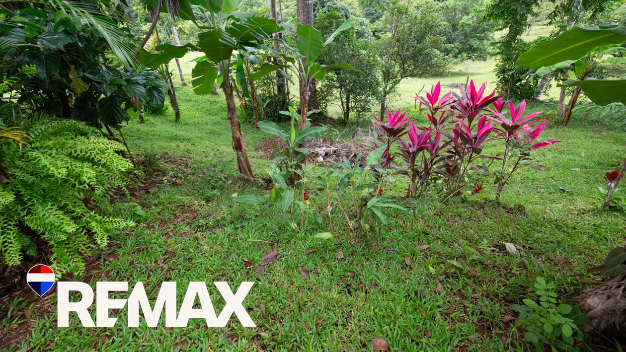 Affordable Up Country Living | Private and Peaceful | Home in the Hills, photo 13