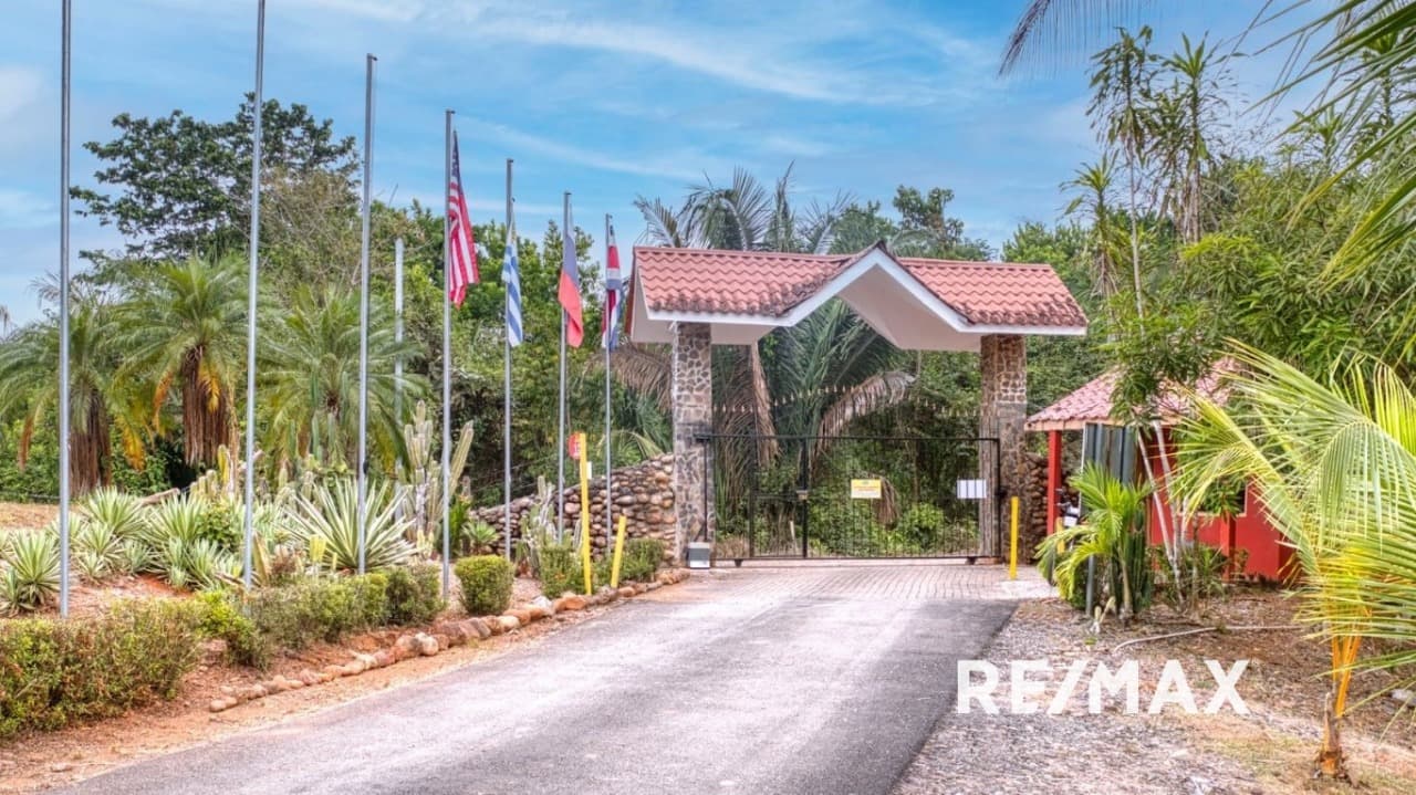 Modern Jungle Retreat, photo 28