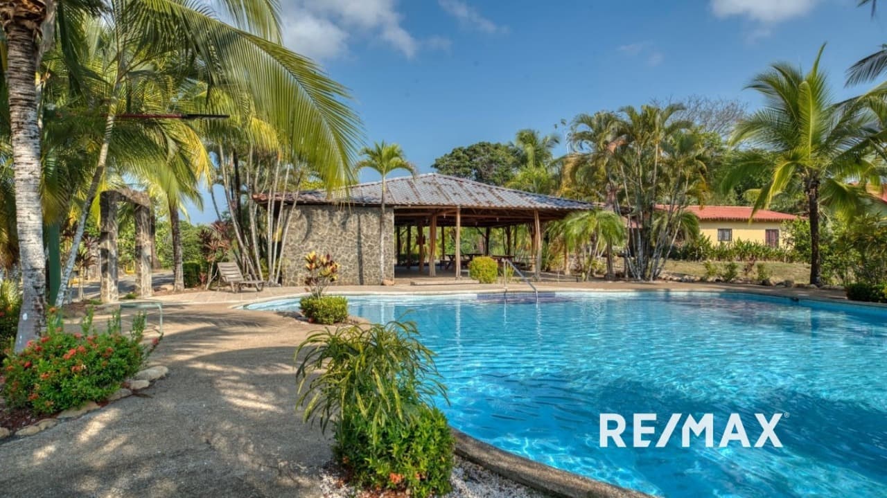 Modern Jungle Retreat, photo 29