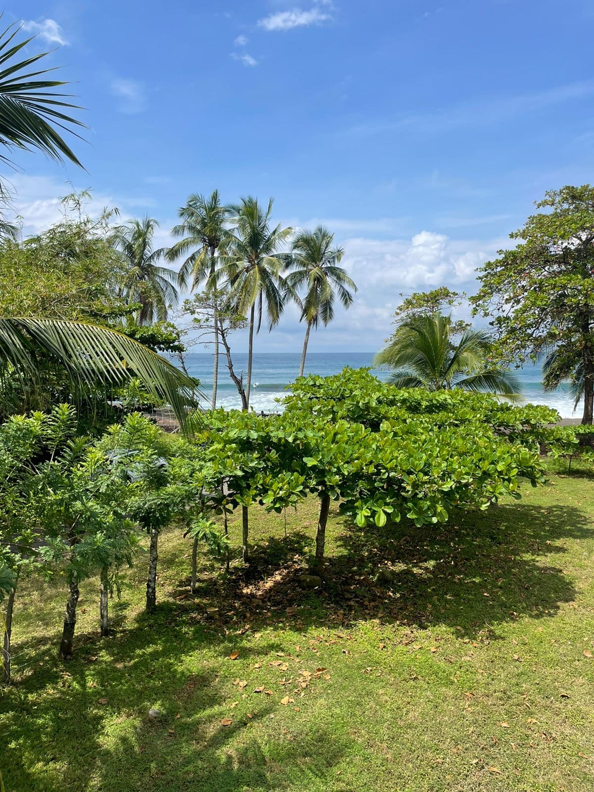 Playa Hermosa Beachfront Craftsman House – 1197 m² with Development Potential, photo 6