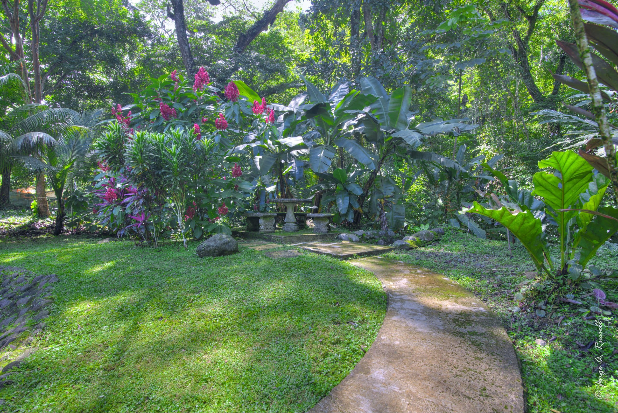 Delightful Tarcoles Creek Residence Near Beach, photo 5
