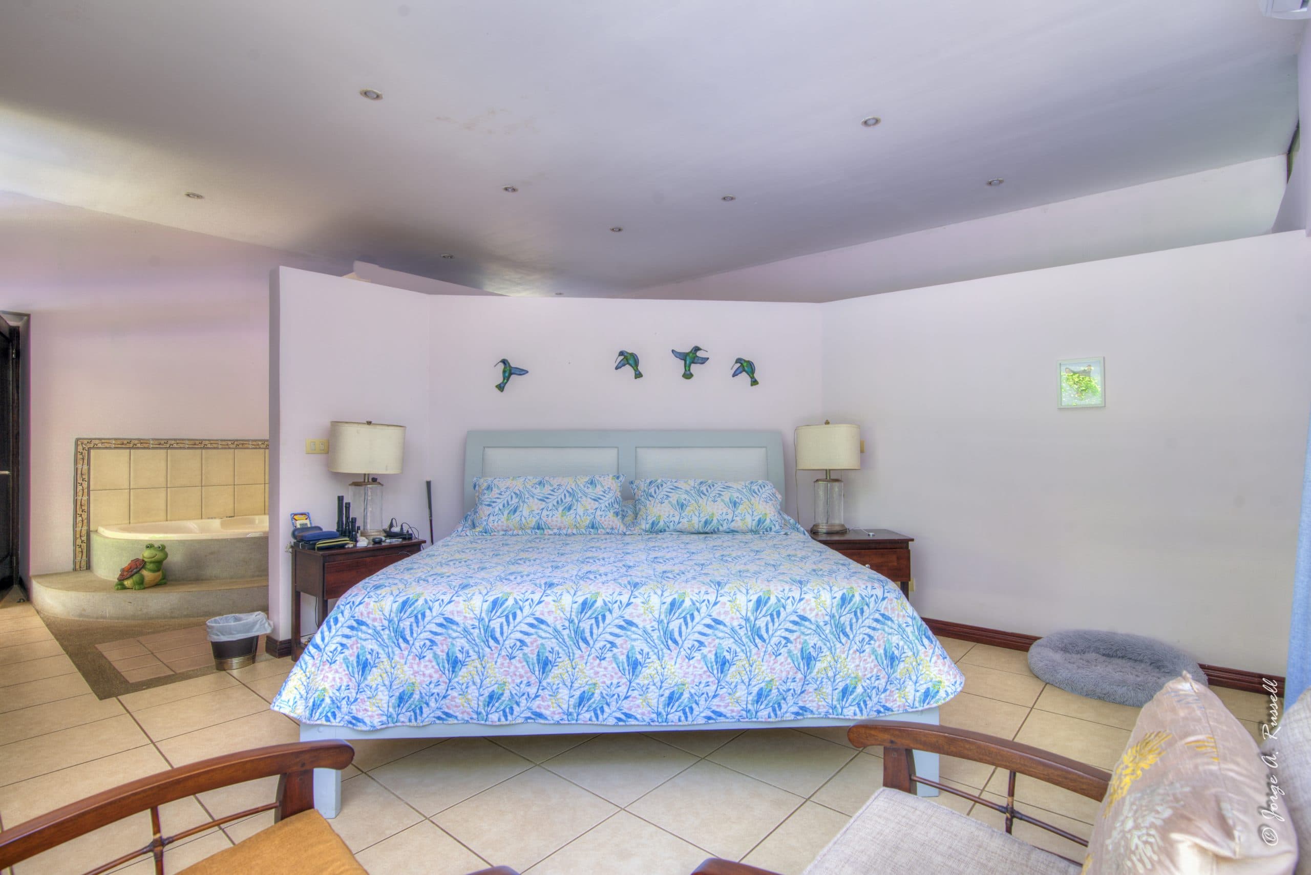 Delightful Tarcoles Creek Residence Near Beach, photo 22