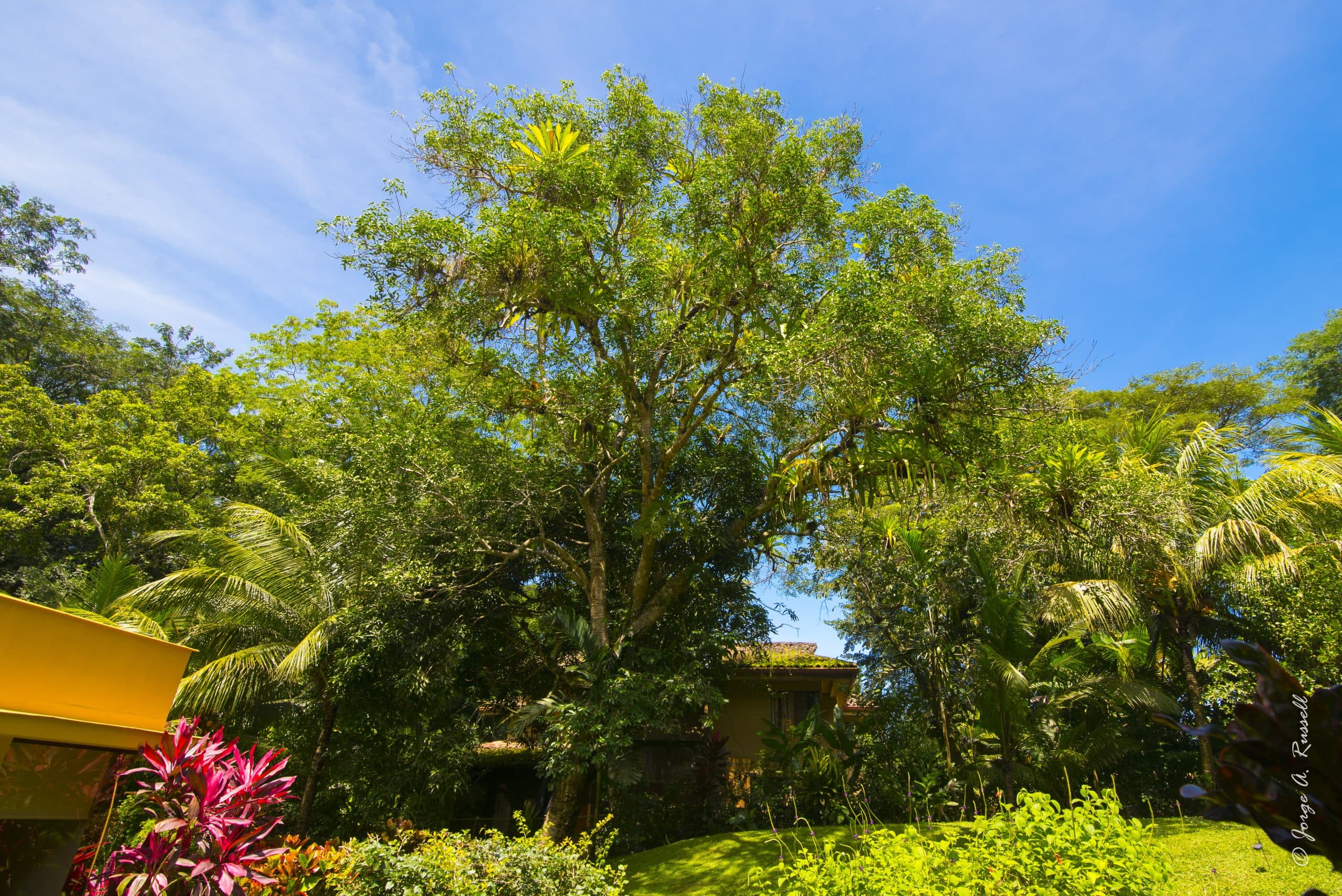 Delightful Tarcoles Creek Residence Near Beach, photo 27