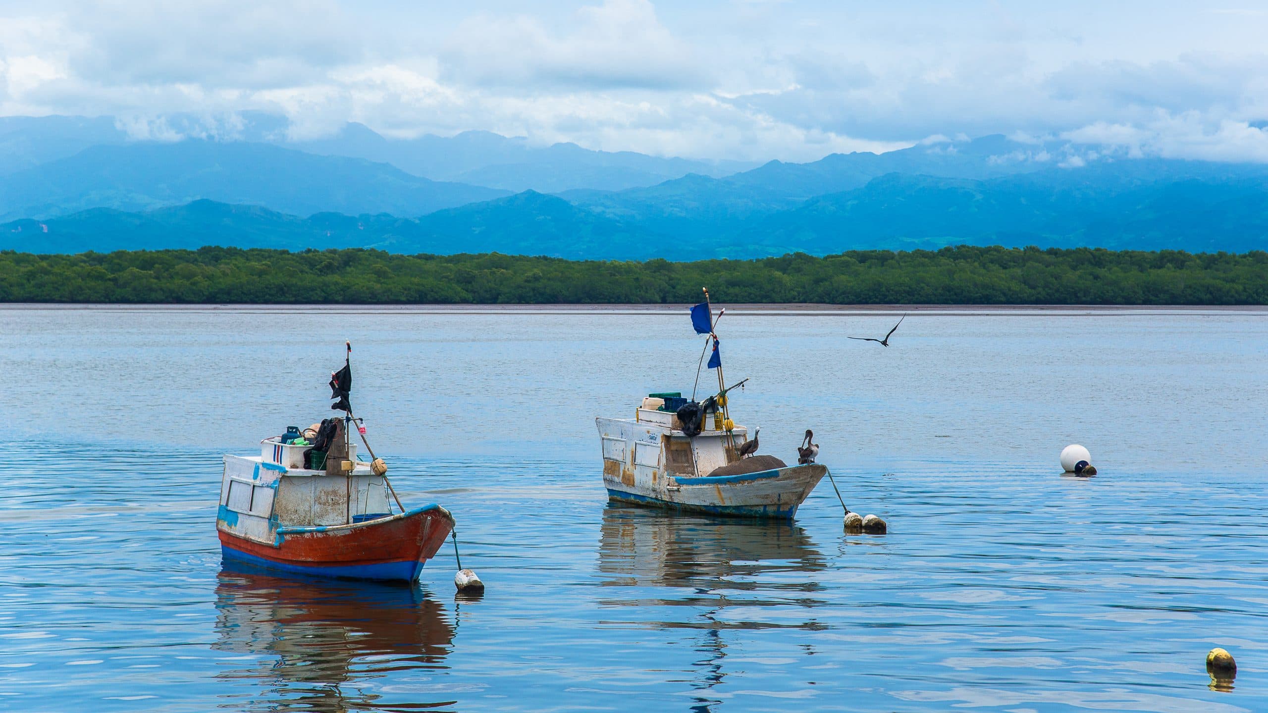 Puntarenas City Lot Near The Beach Fully Titled, photo 11
