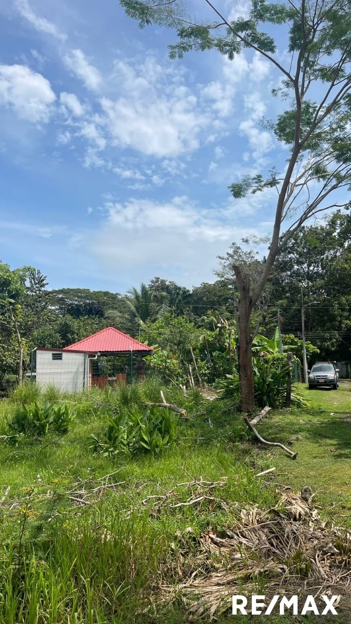 Double Lot Beach Opportunity, photo 3