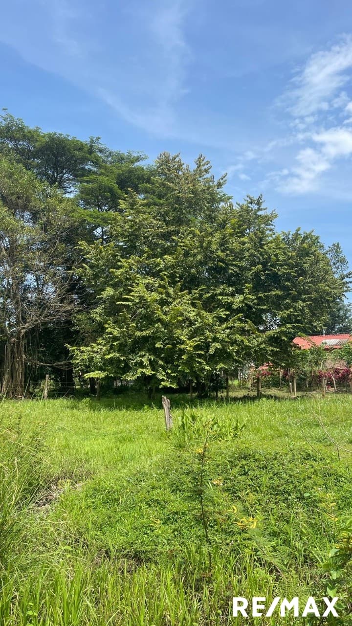 Double Lot Beach Opportunity, photo 4