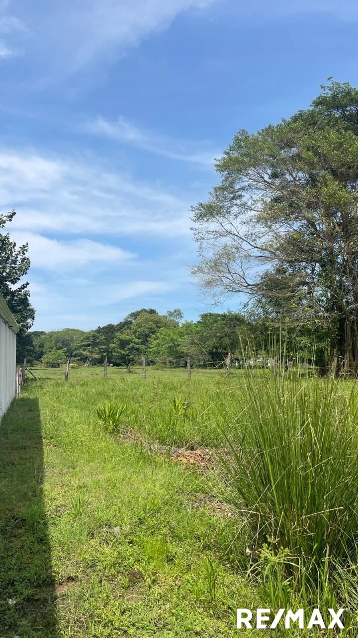 Double Lot Beach Opportunity, photo 5