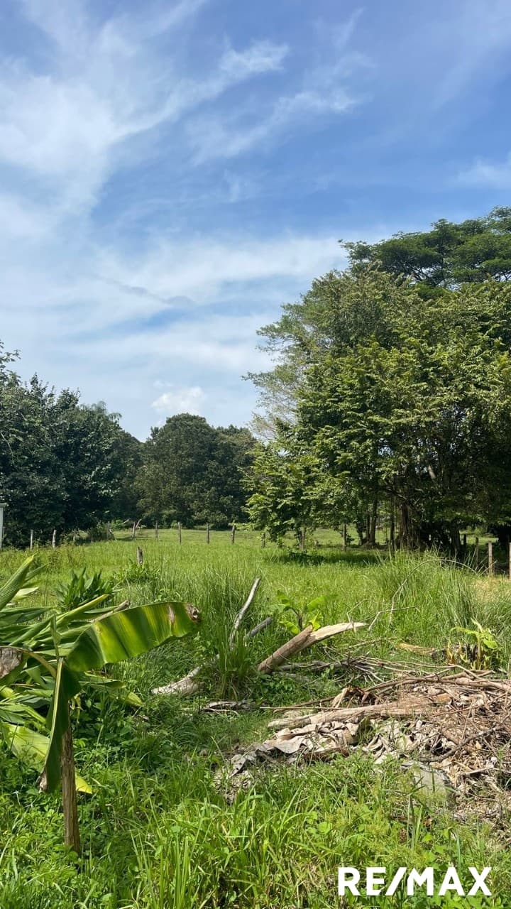 Double Lot Beach Opportunity, photo 6
