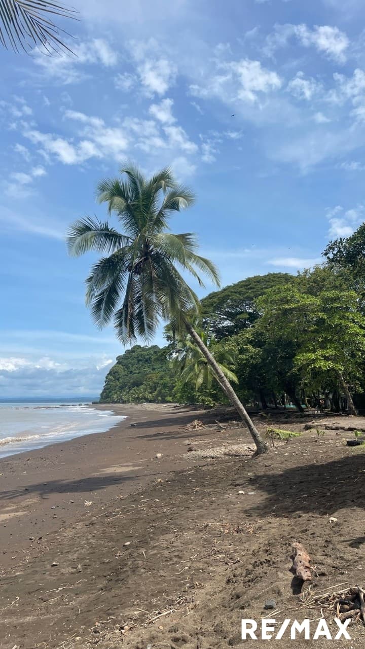 Double Lot Beach Opportunity, photo 7