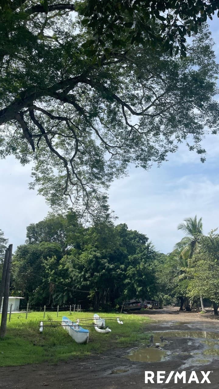 Double Lot Beach Opportunity, photo 10