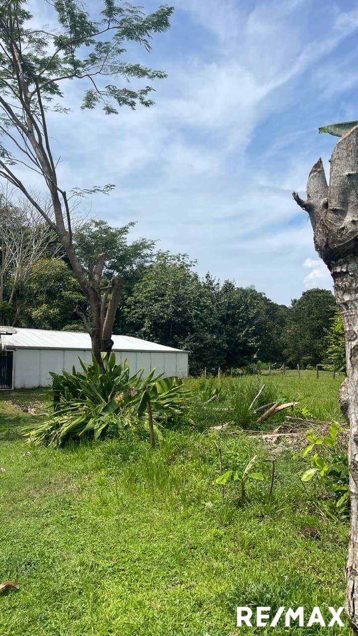 Double Lot Beach Opportunity, photo 11