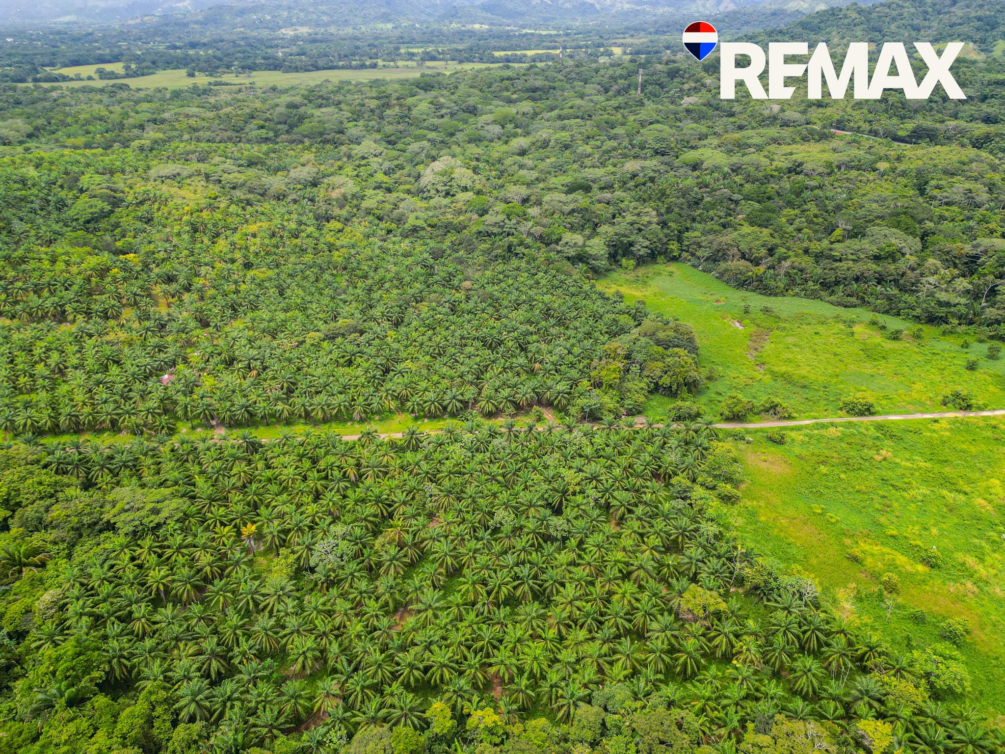 Affordable Beach Lots – 5000m2 in Esterillos, photo 9