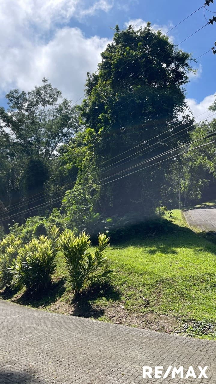 Costa Montaña Nature Lot, photo 6