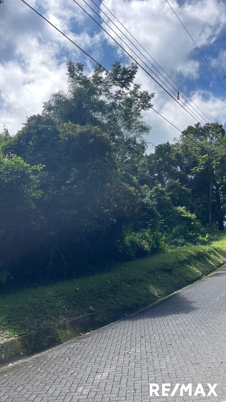 Costa Montaña Nature Lot, photo 7