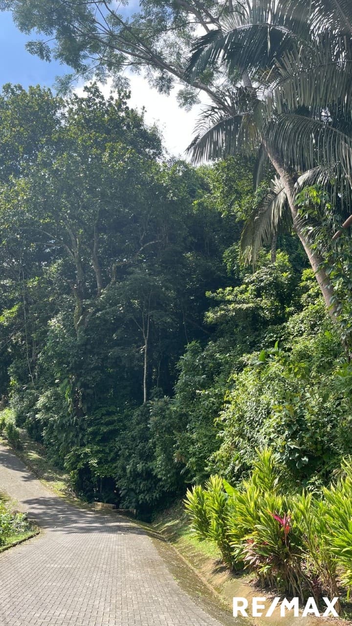 Costa Montaña Nature Lot, photo 2