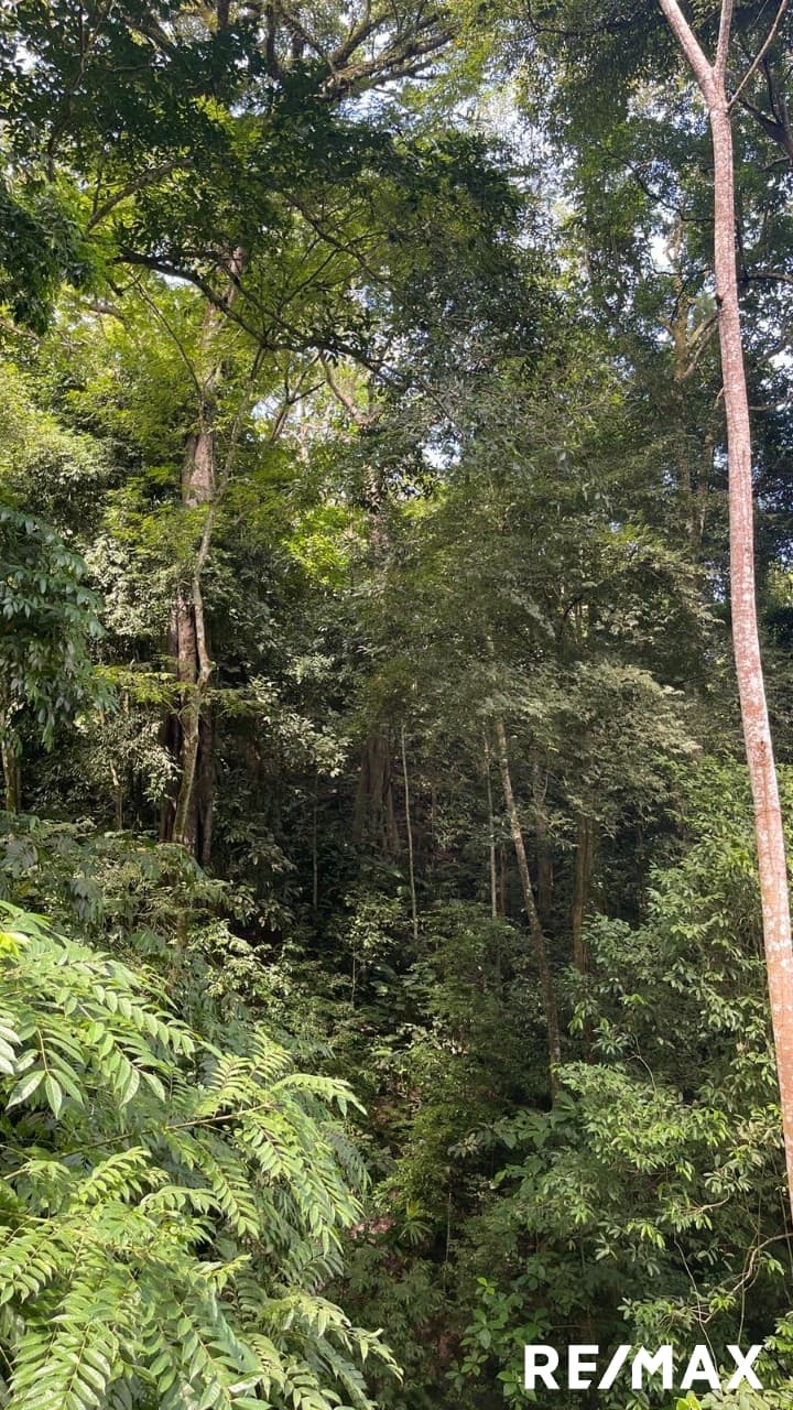 Costa Montaña Nature Lot, photo 3