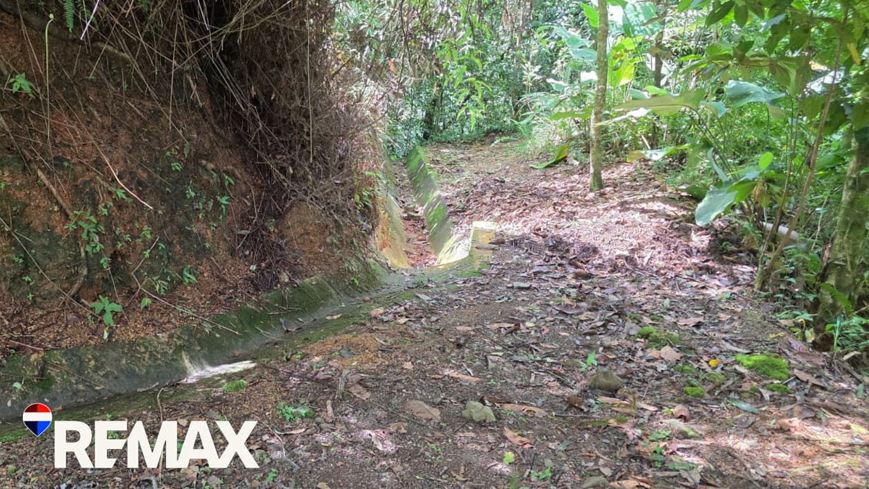 Waterfalls | Swimming Holes | Rivers | 72 Acres, photo 12