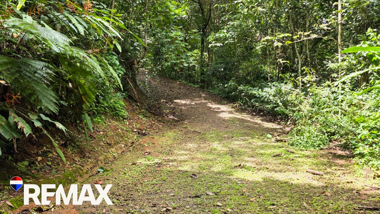 Waterfalls | Swimming Holes | Rivers | 72 Acres, photo 13